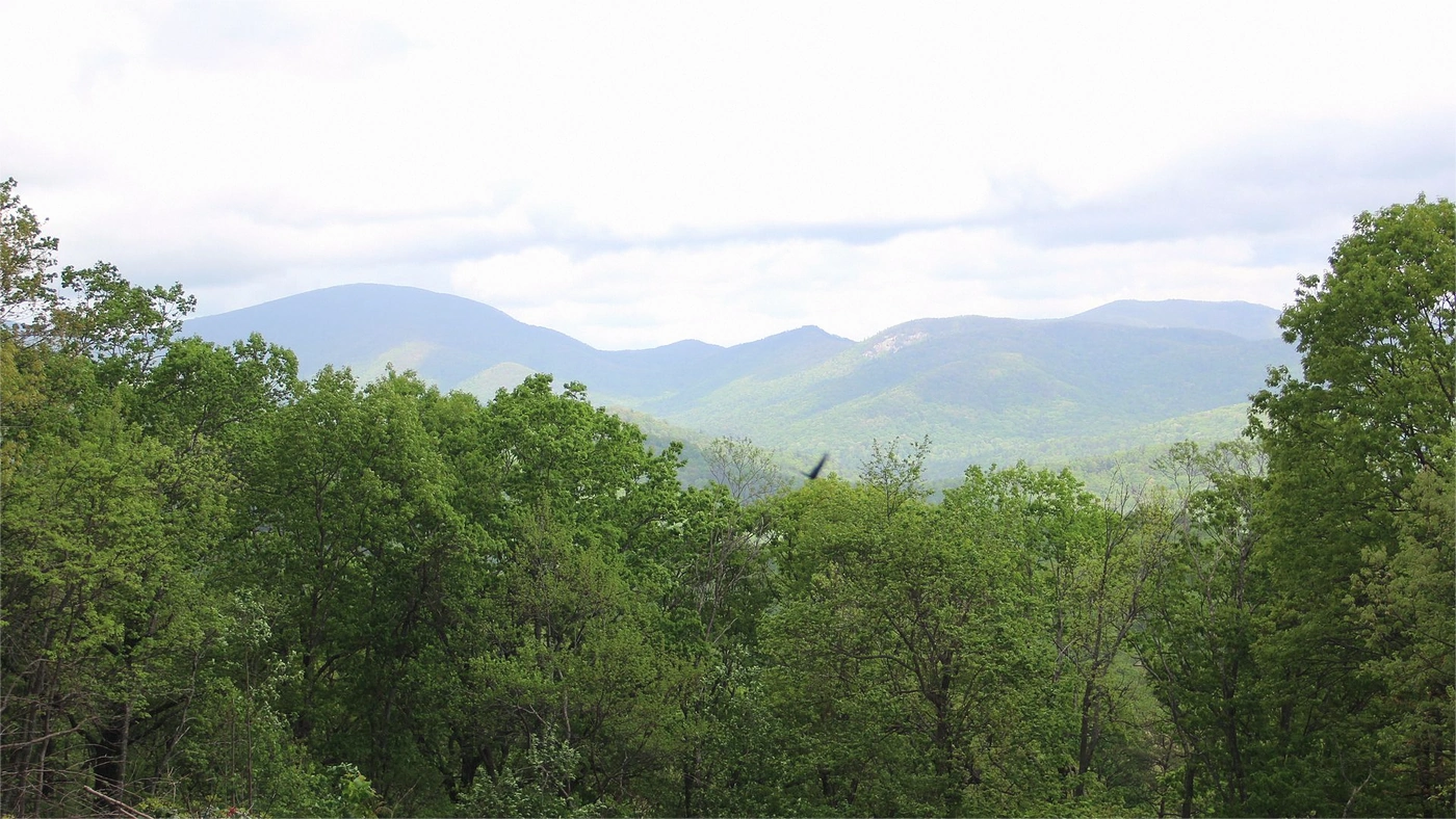 Georgia Land Buyers: Selling Land for Cash in Georgia Georgia land guide