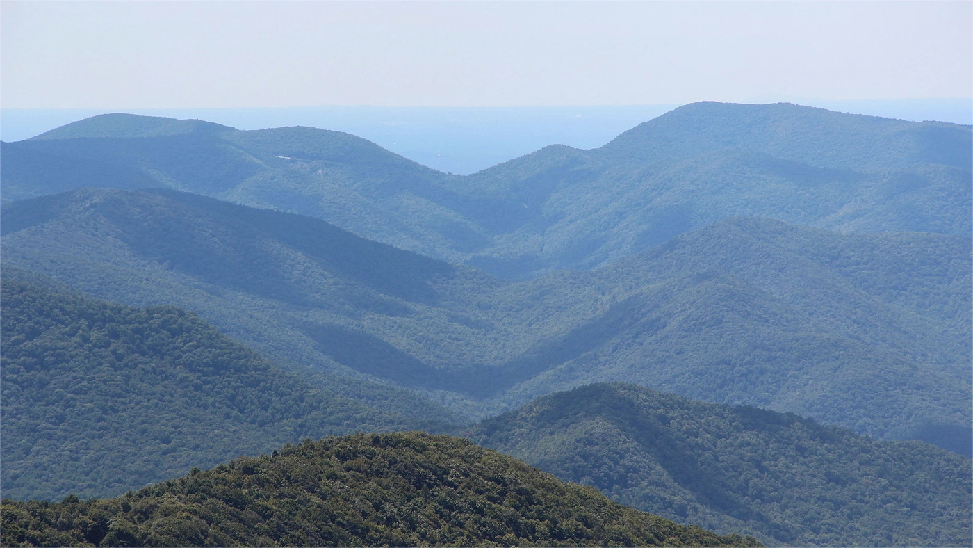 Capital Gains Tax on Selling Land in Georgia Georgia land guide