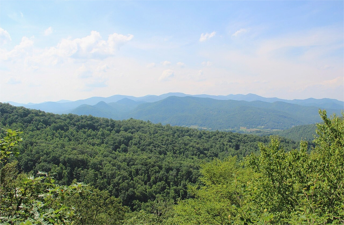 Georgia land parcel records for Georgia Land Buyers: Selling Land for Cash in Georgia