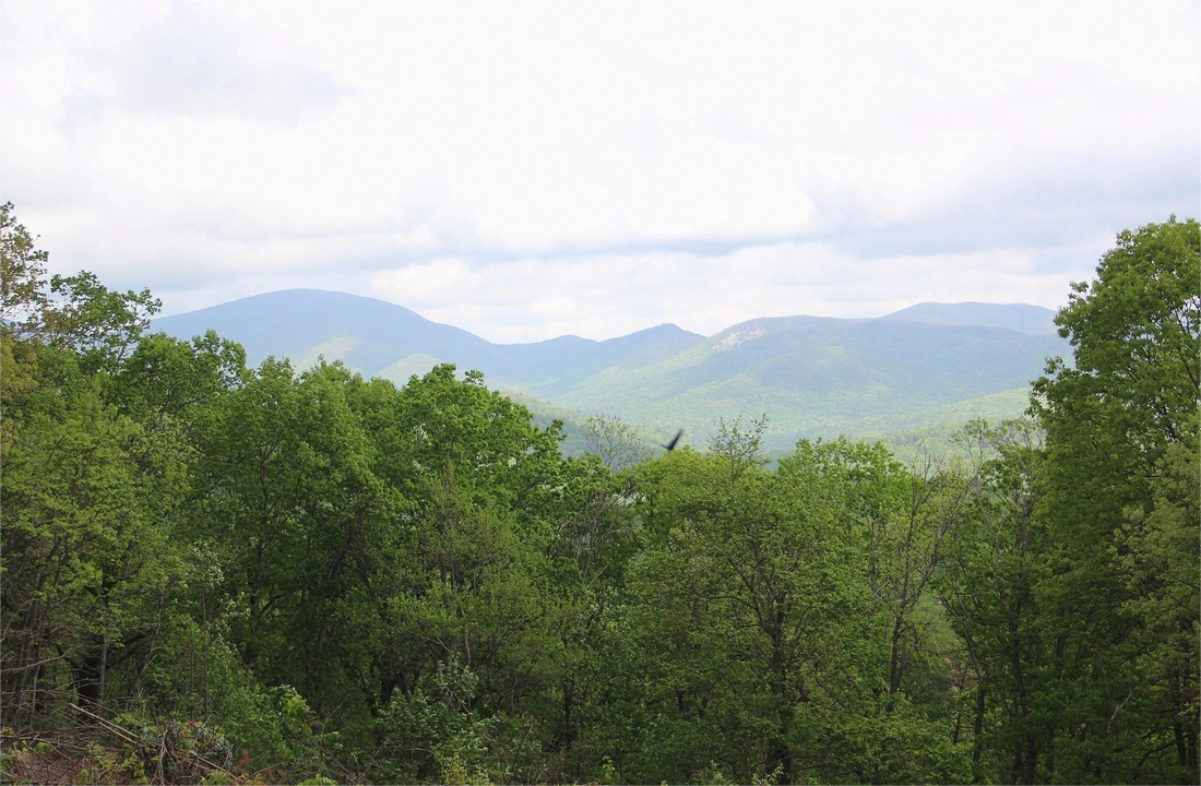 Georgia land offer review for How to Sell Inherited Land After You Inherit Property in Georgia