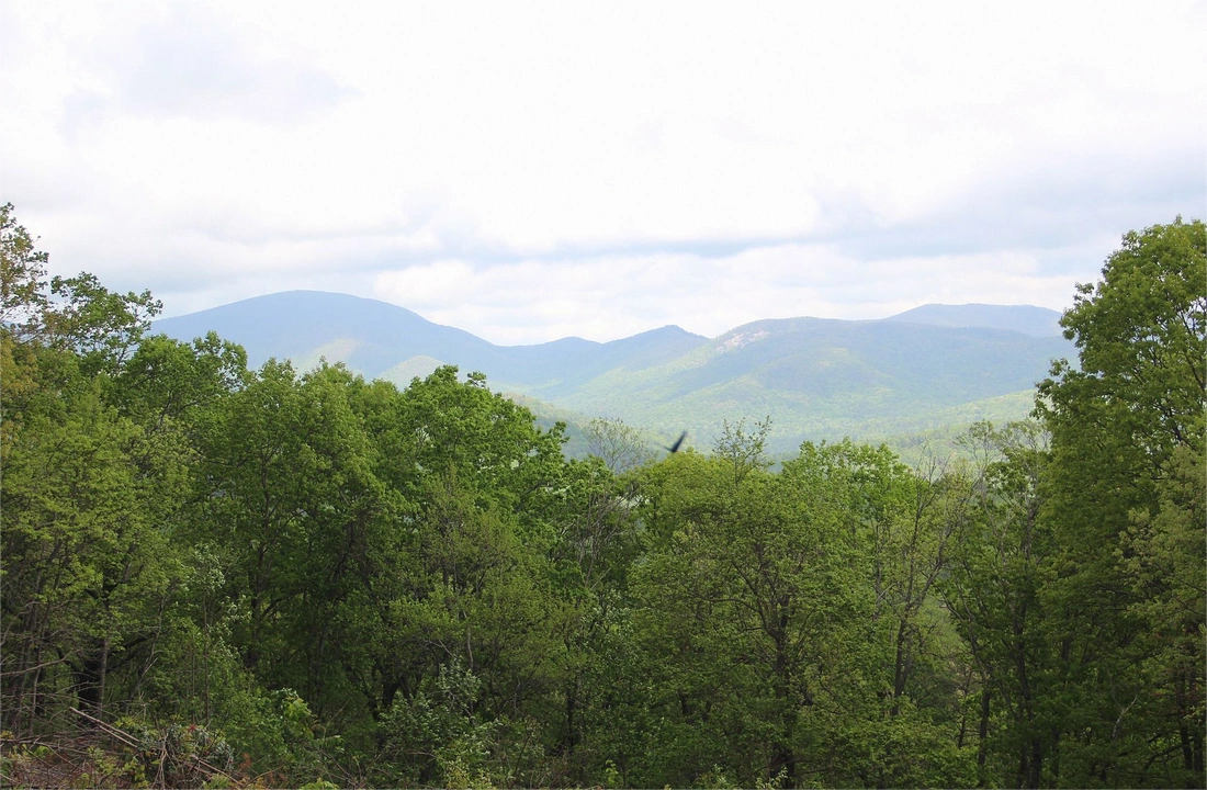 Georgia land closing documents for How to Sell Your Land Fast in Georgia