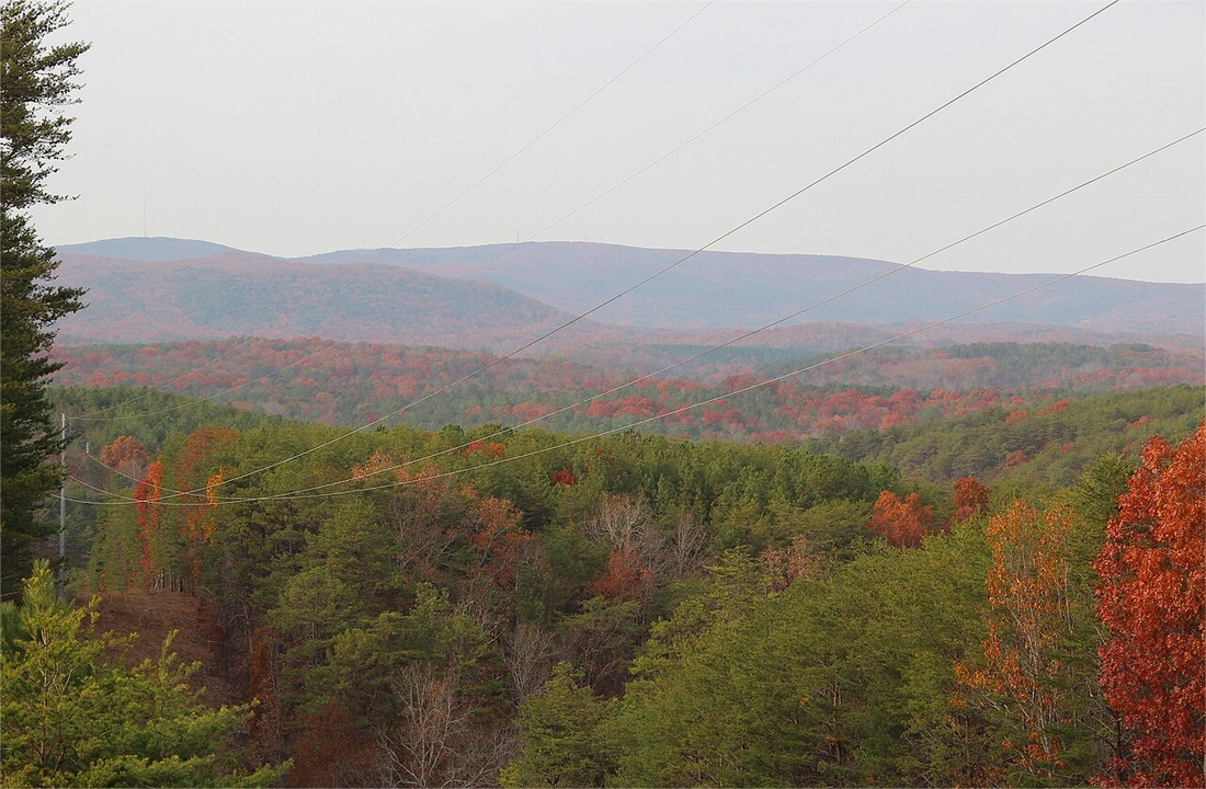 Georgia land offer review for How to Sell Your Land Online in Georgia