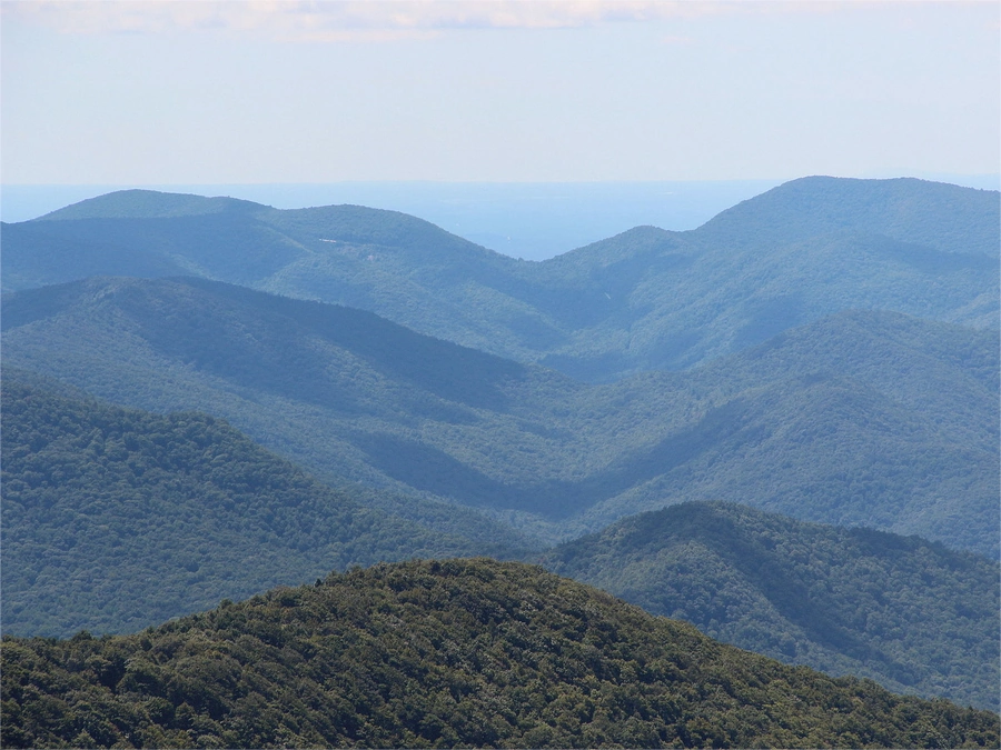 Timber Acreage in Cobb County